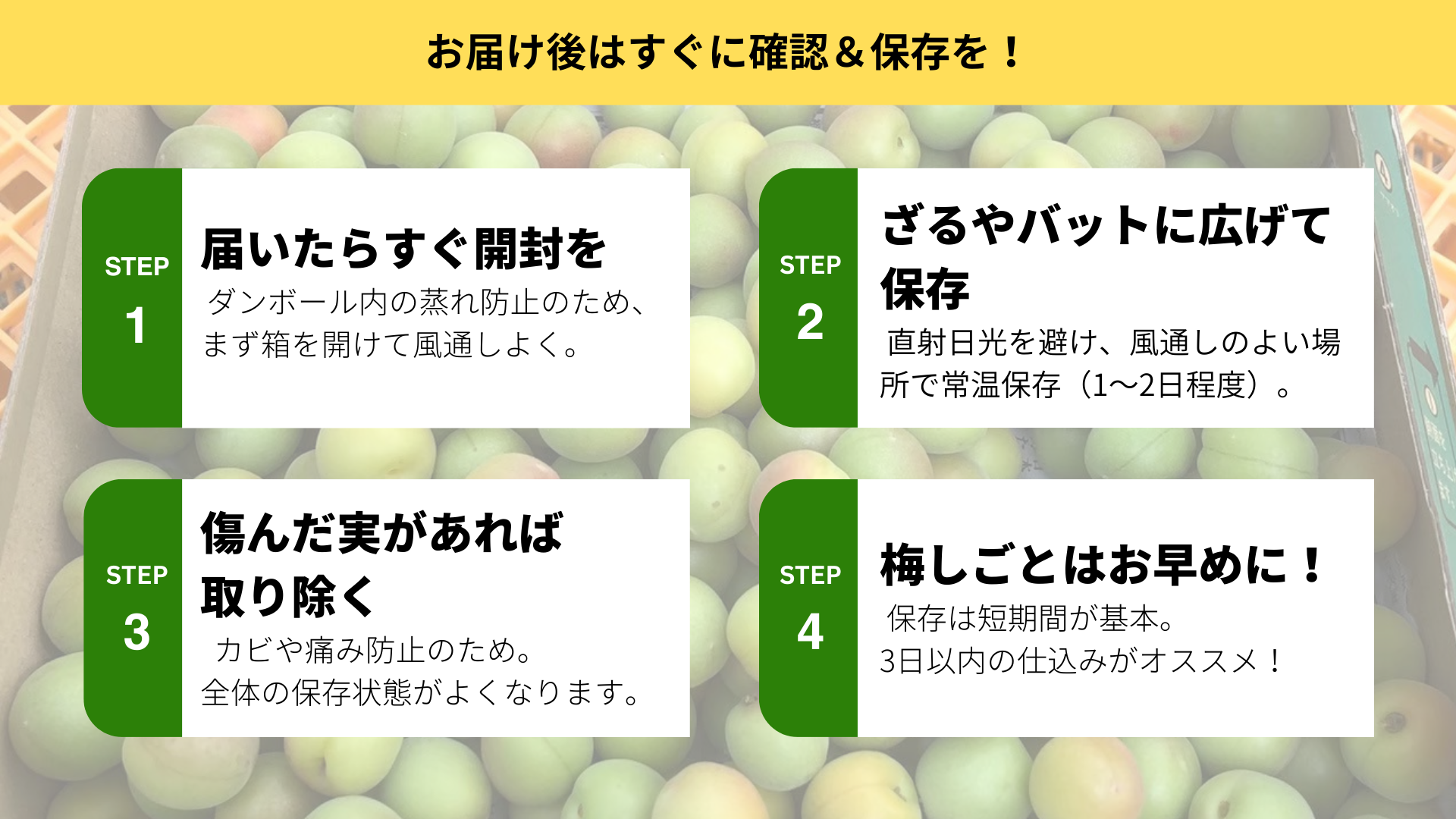 2025年度】甲州小梅 青梅〜黄梅 | 日々之畑｜hibi no hatake
