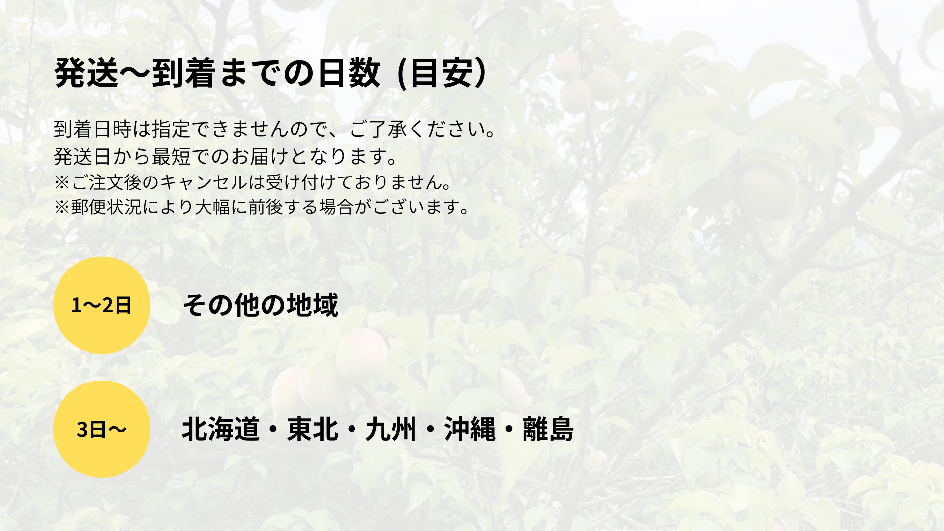 2025年度】甲州小梅「樹上完熟」 | 日々之畑｜hibi no hatake