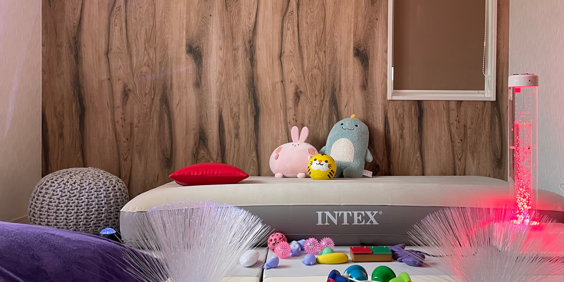 スヌーズレンのこれから