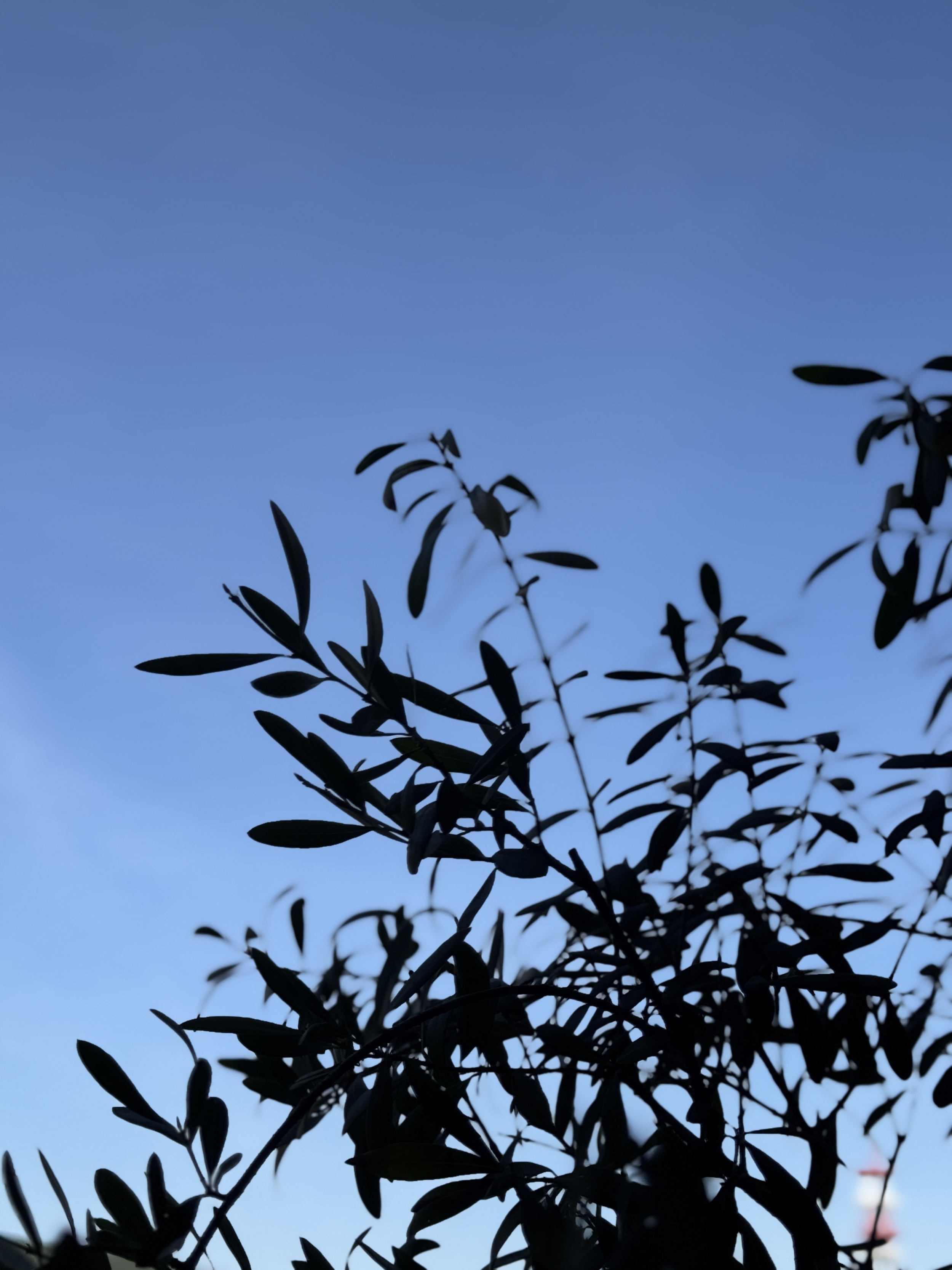 GWの営業スケジュールのお知らせ