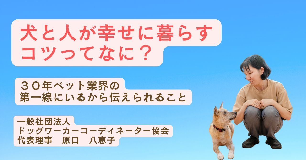 犬のしつけ！その無視の仕方に効果はあり？