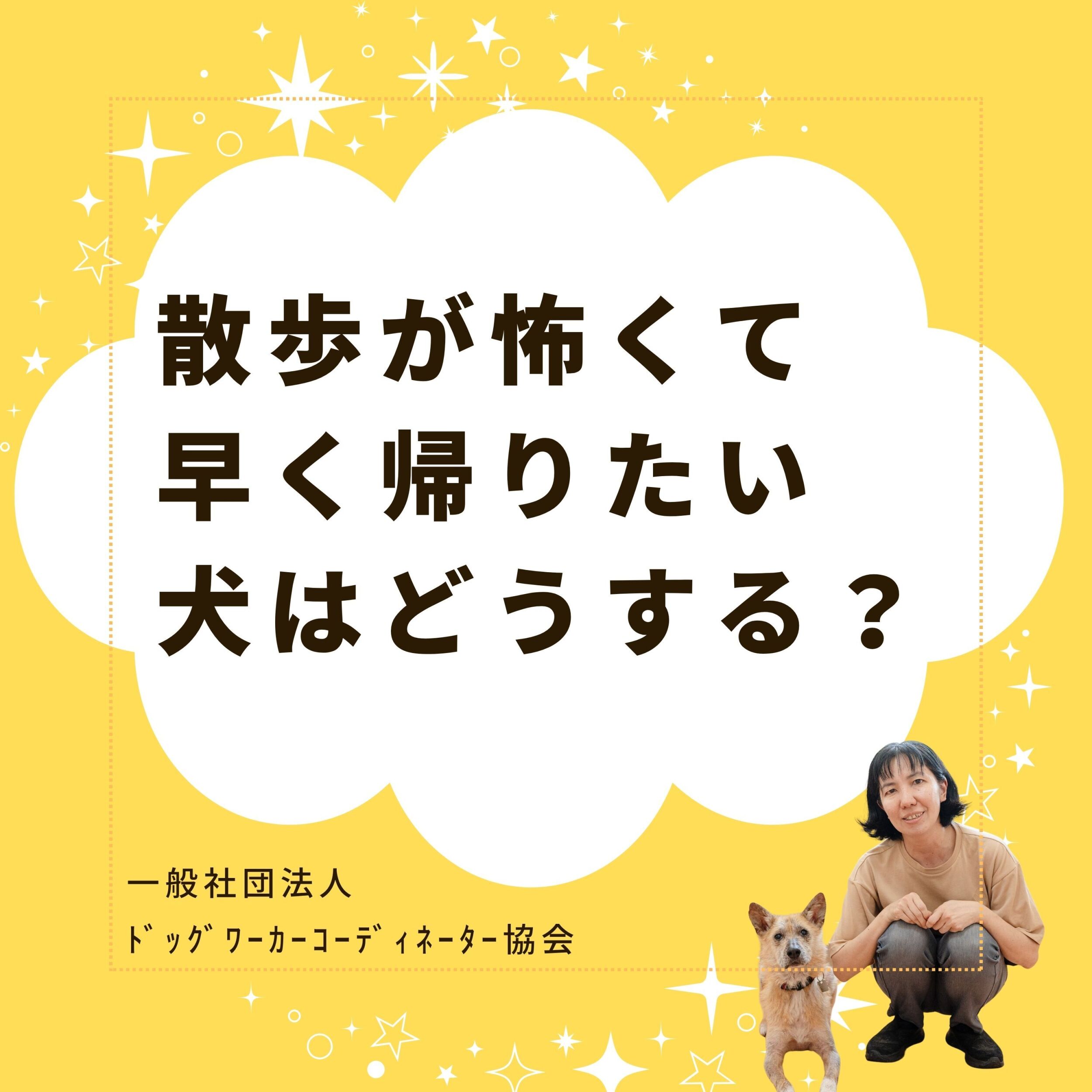 犬の散歩外が怖くてリードを引っ張る犬の改善方法は？