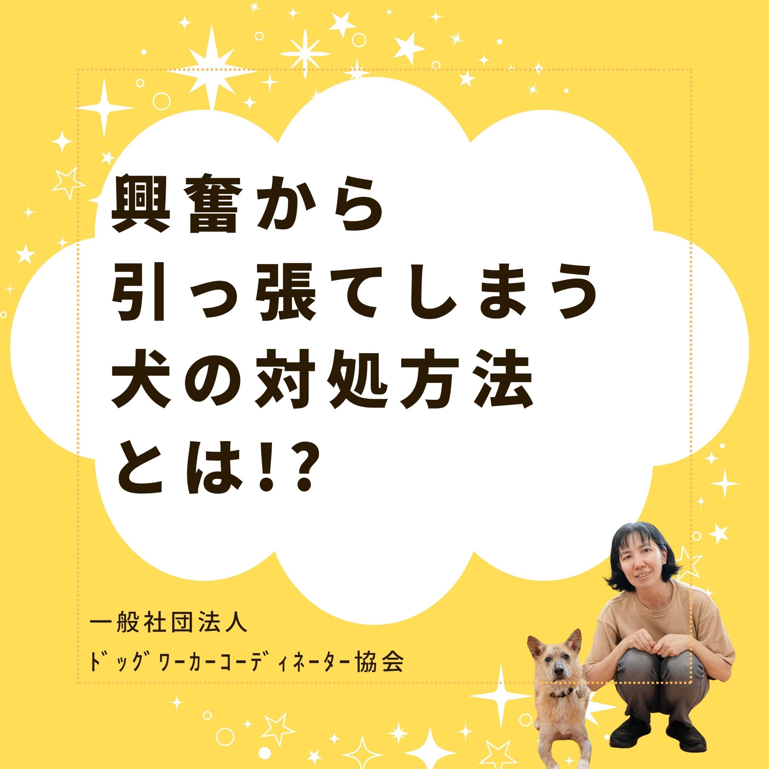 興奮してリードを引っ張る犬の対処方法とは?