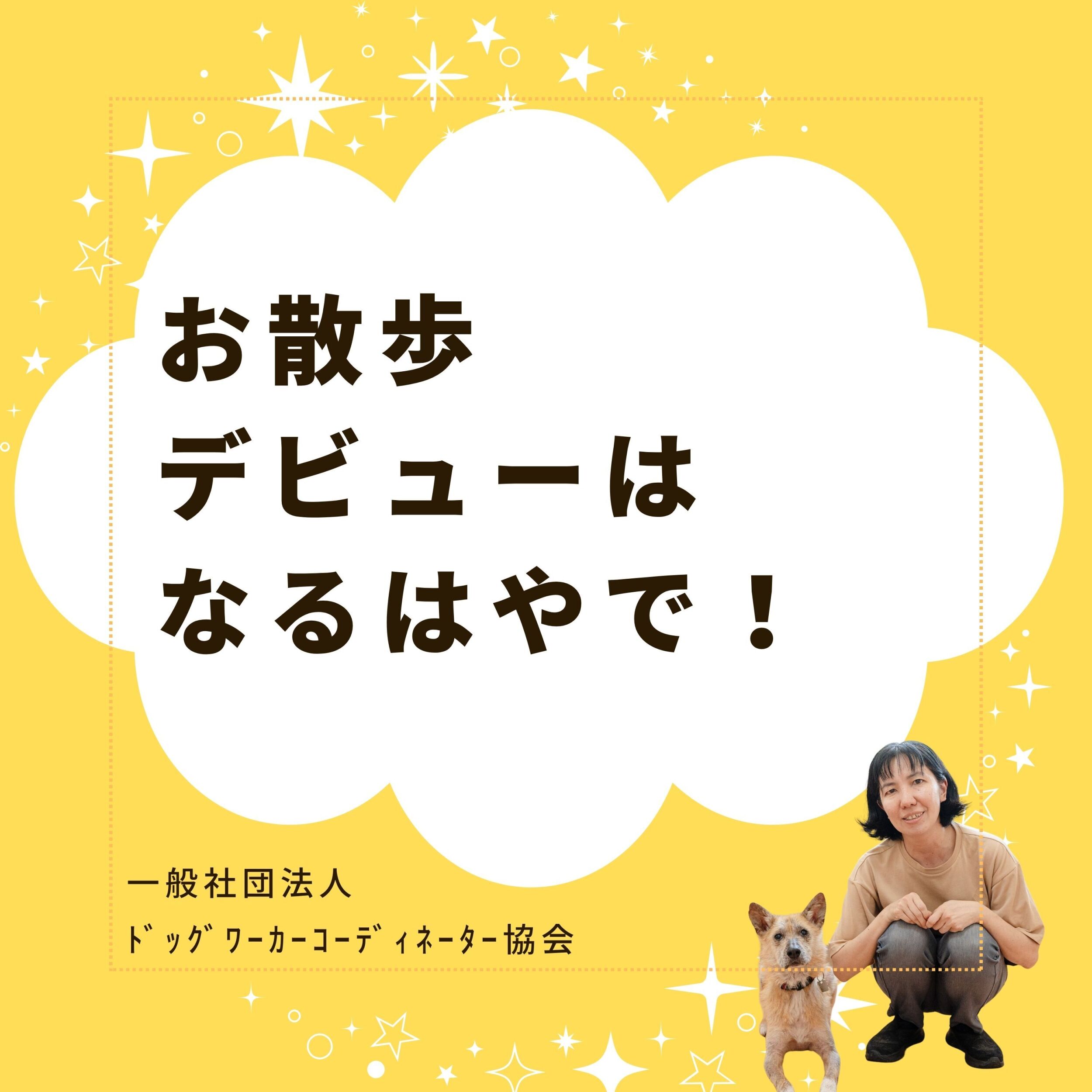 失敗させないお散歩デビューの方法は?