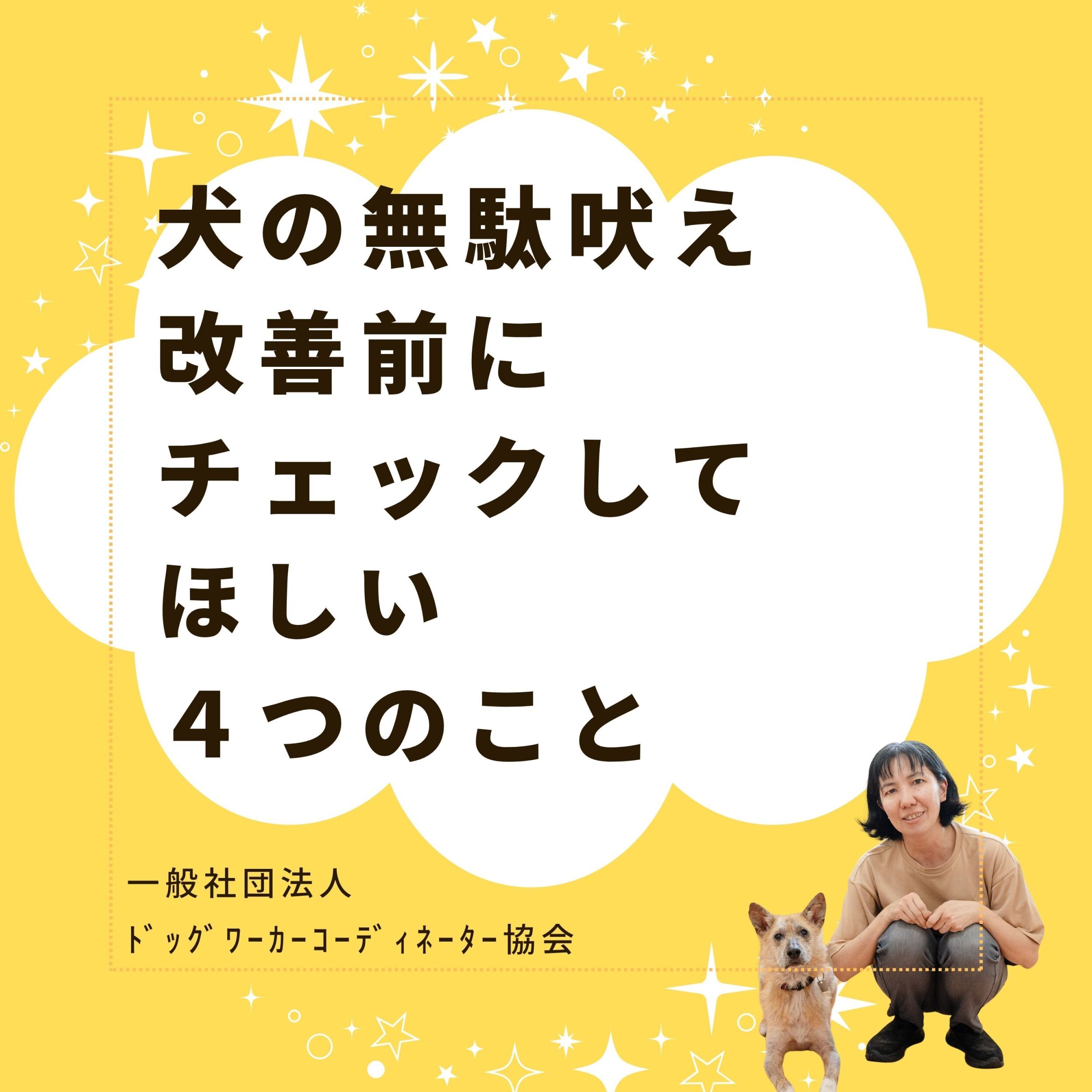 犬の無駄吠え改善前にチェックしてほしい4つのこと