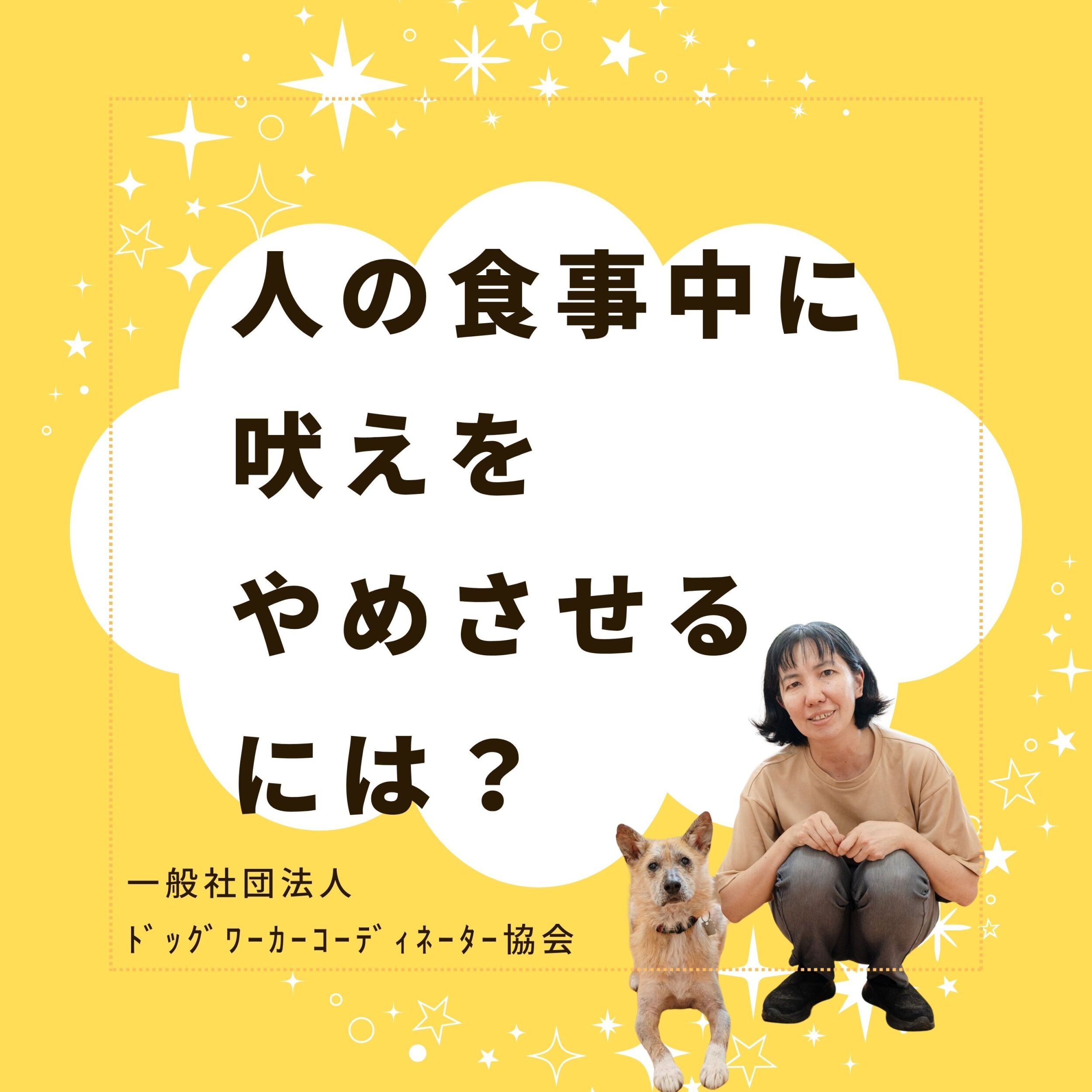 人の食事中に愛犬の吠えをやめさせたいなら！？