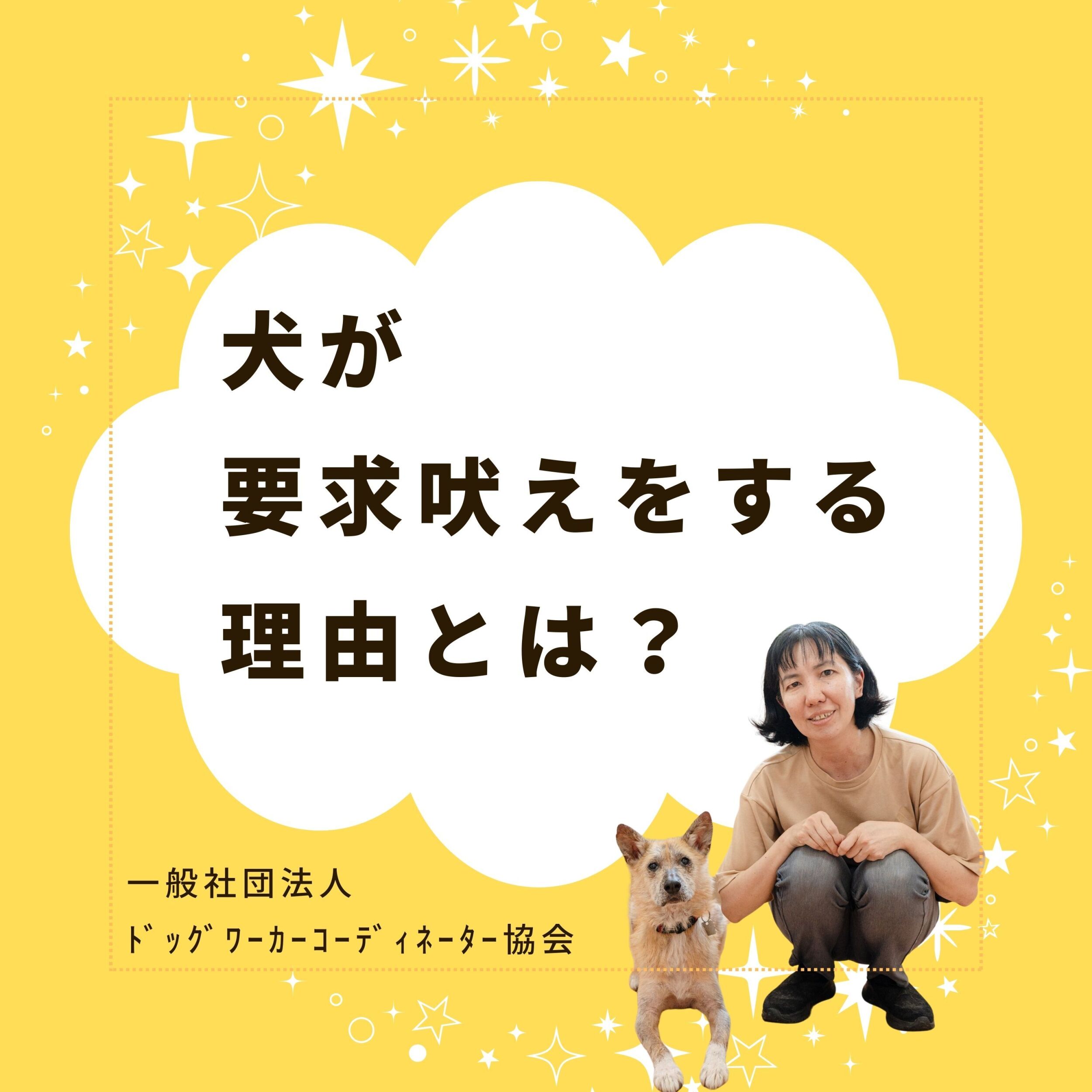 犬の要求吠えが起こる理由とは⁉