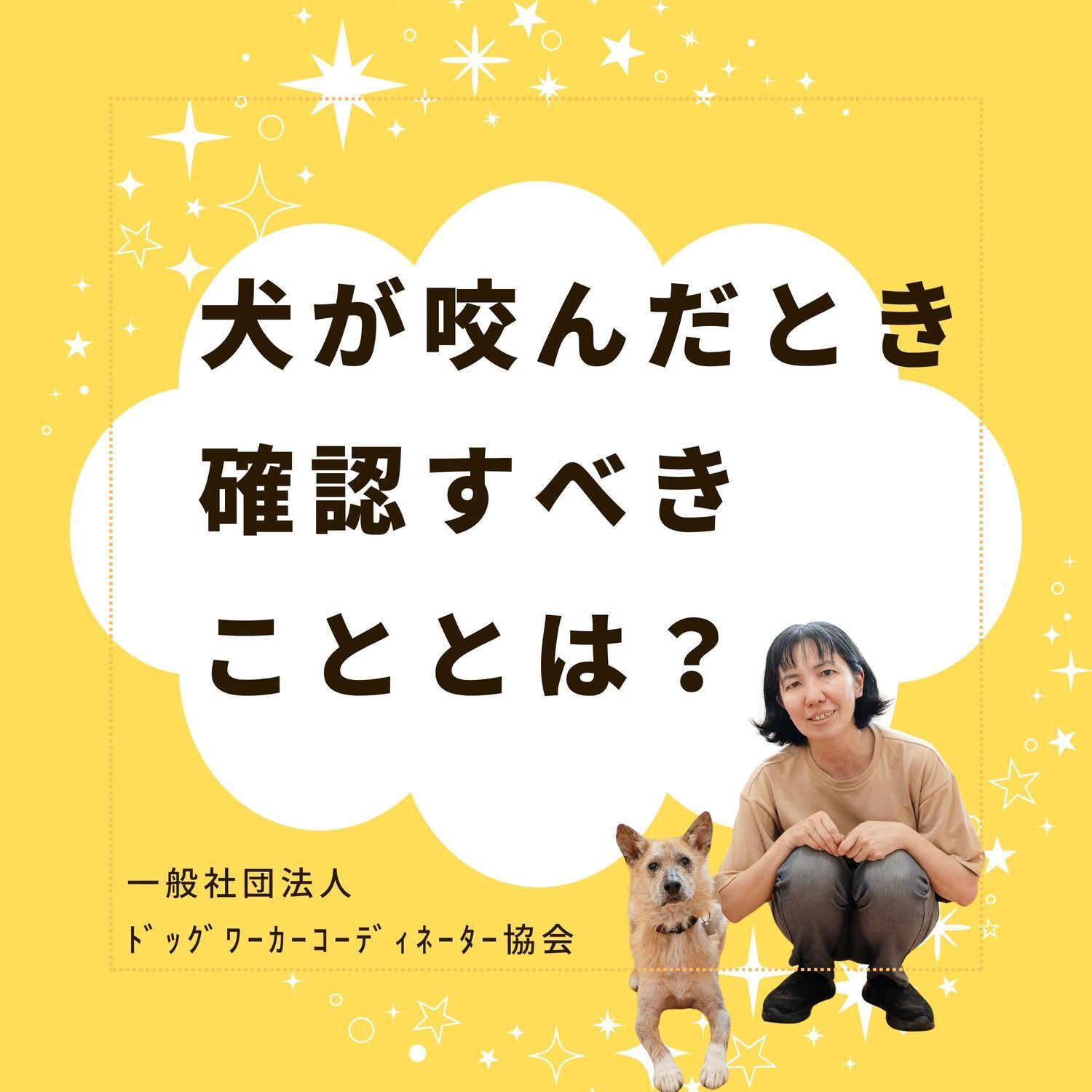 犬が咬んだときに最初に確認すべきこととは？