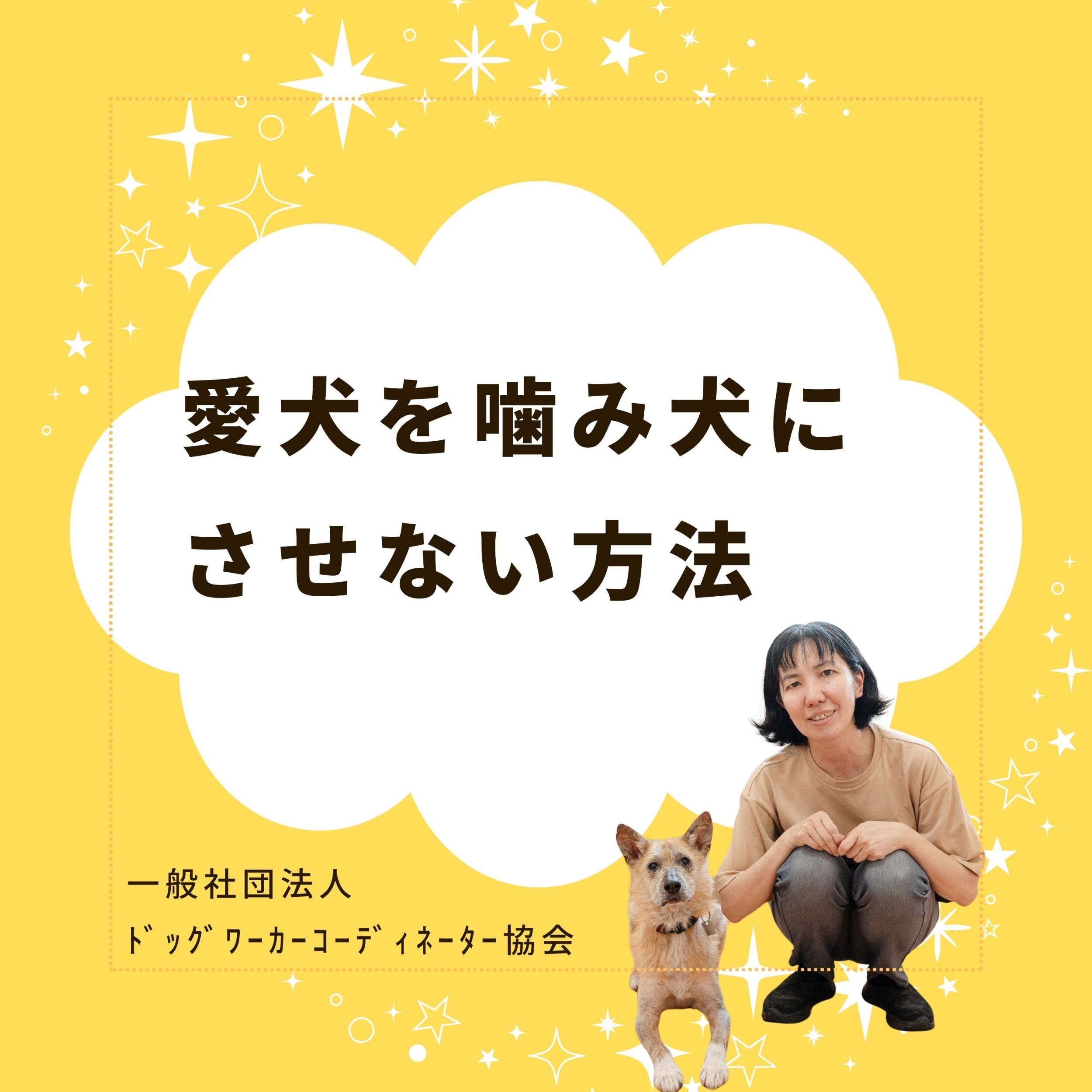 わが子を噛み犬にさせないためには？