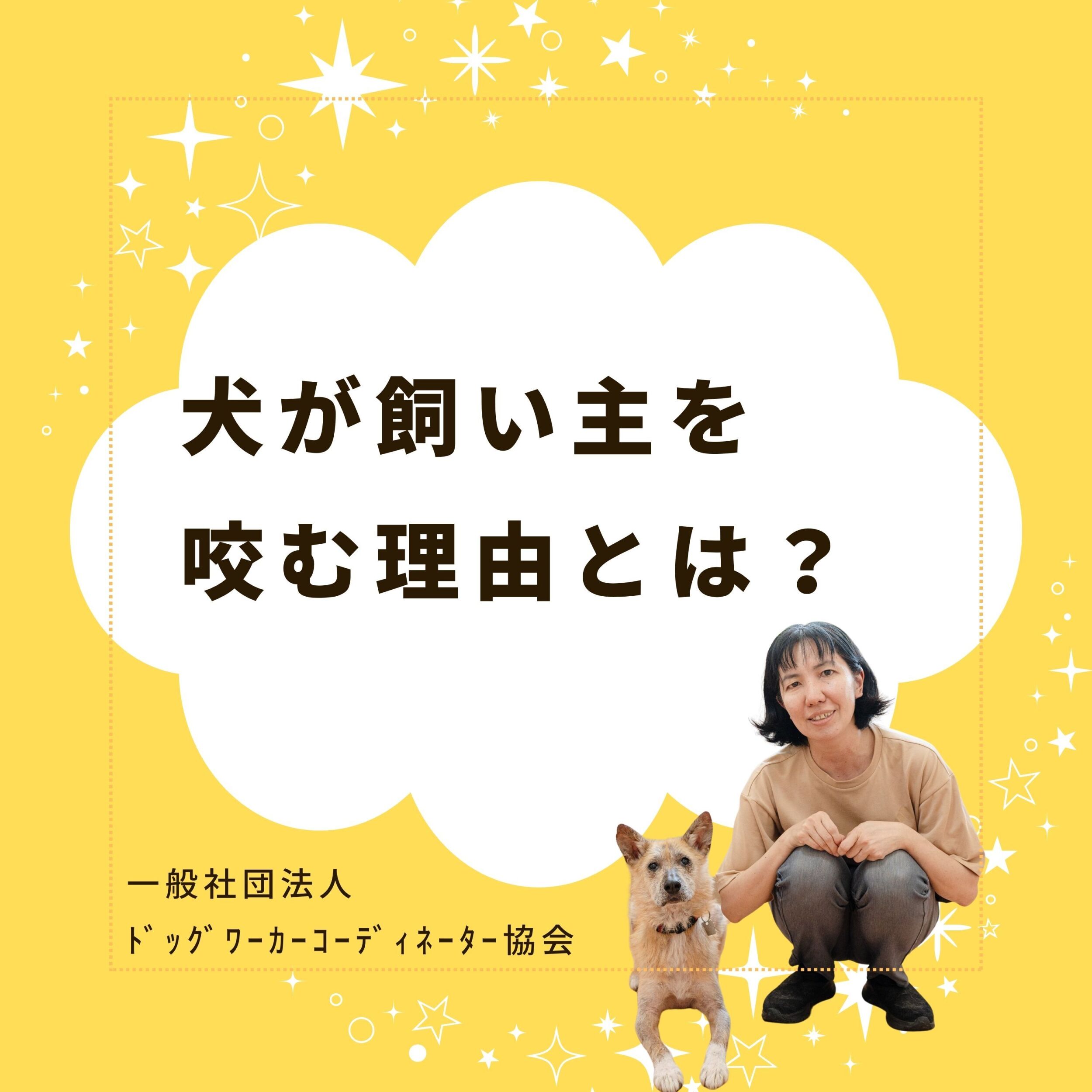 犬が飼い主を咬む理由とは？