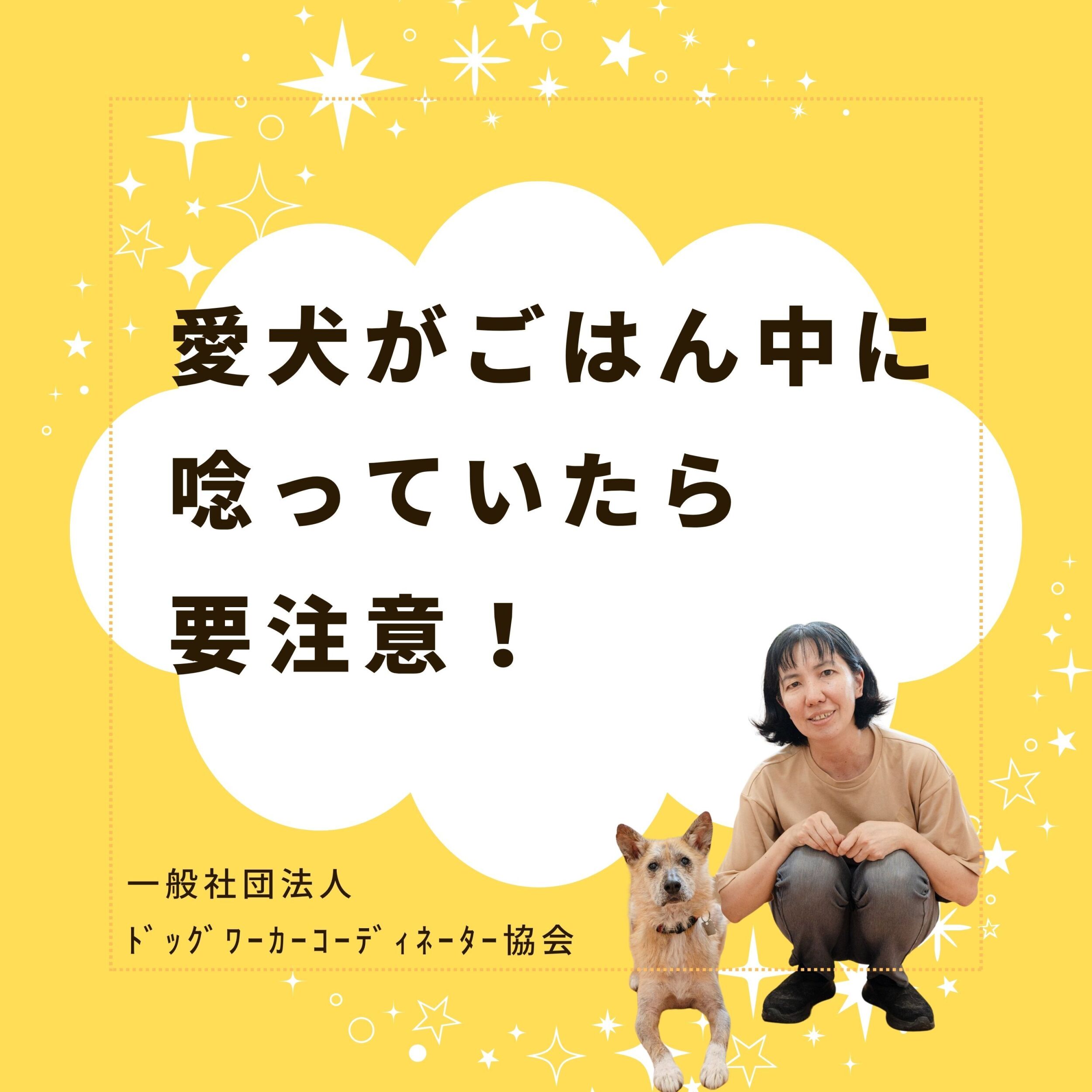 愛犬がごはん中に近づいたら咬んできた！は要注意