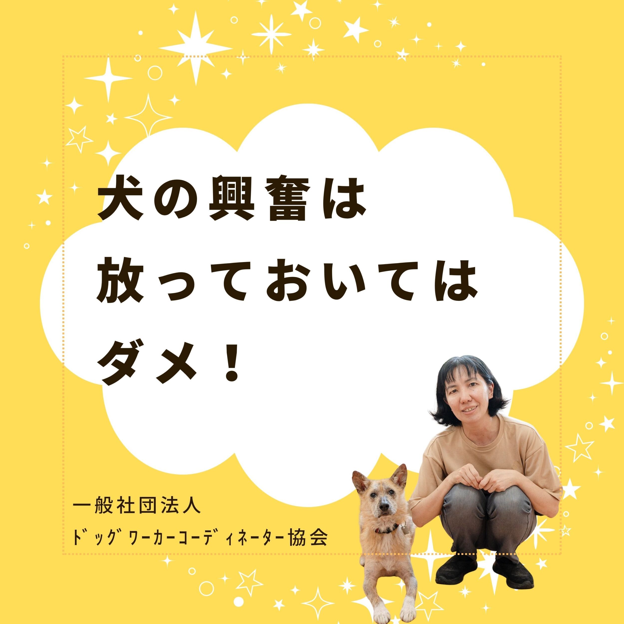 犬の興奮しっぱなし、そのままにしないで!