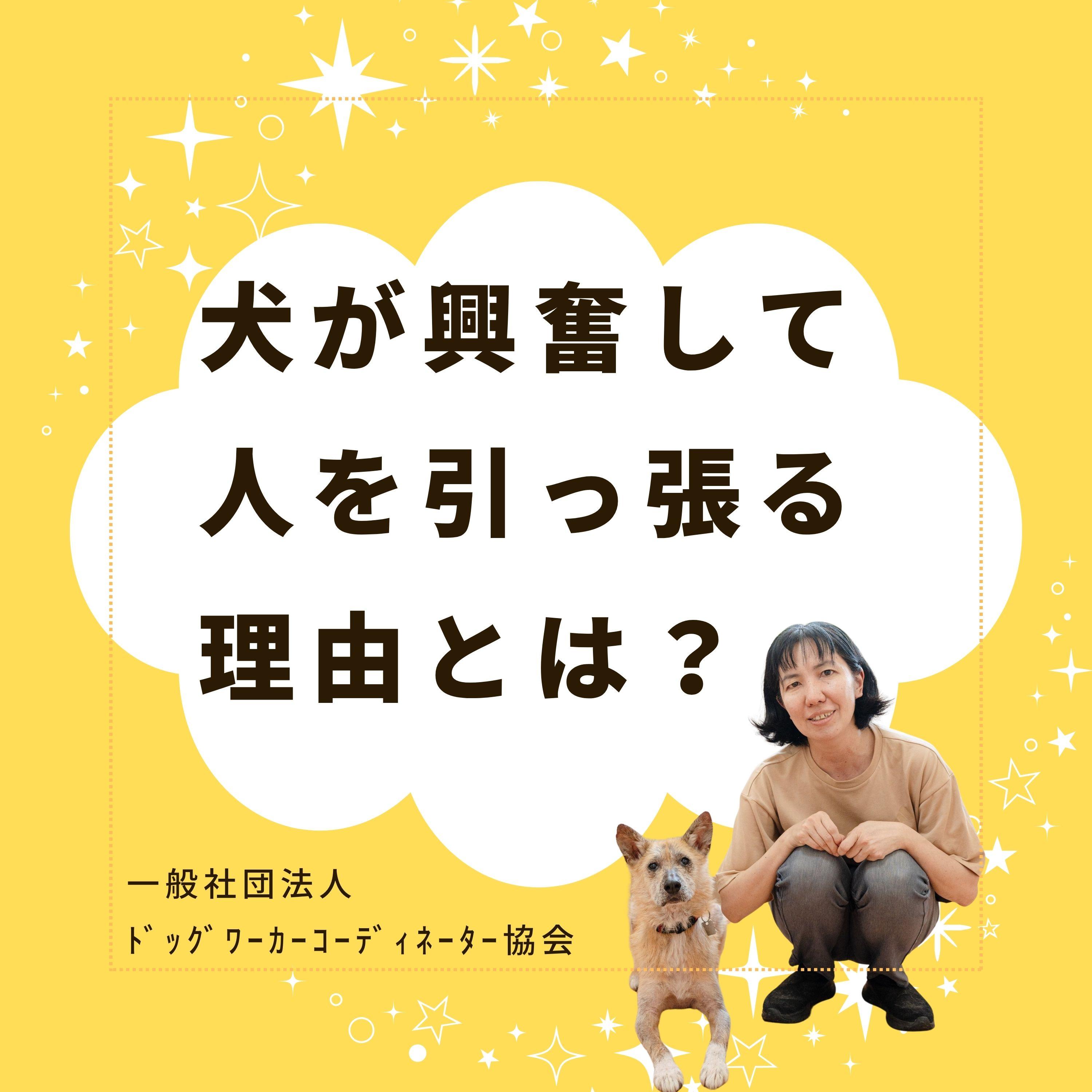 犬が興奮して飼い主を引っ張るのはなぜ？