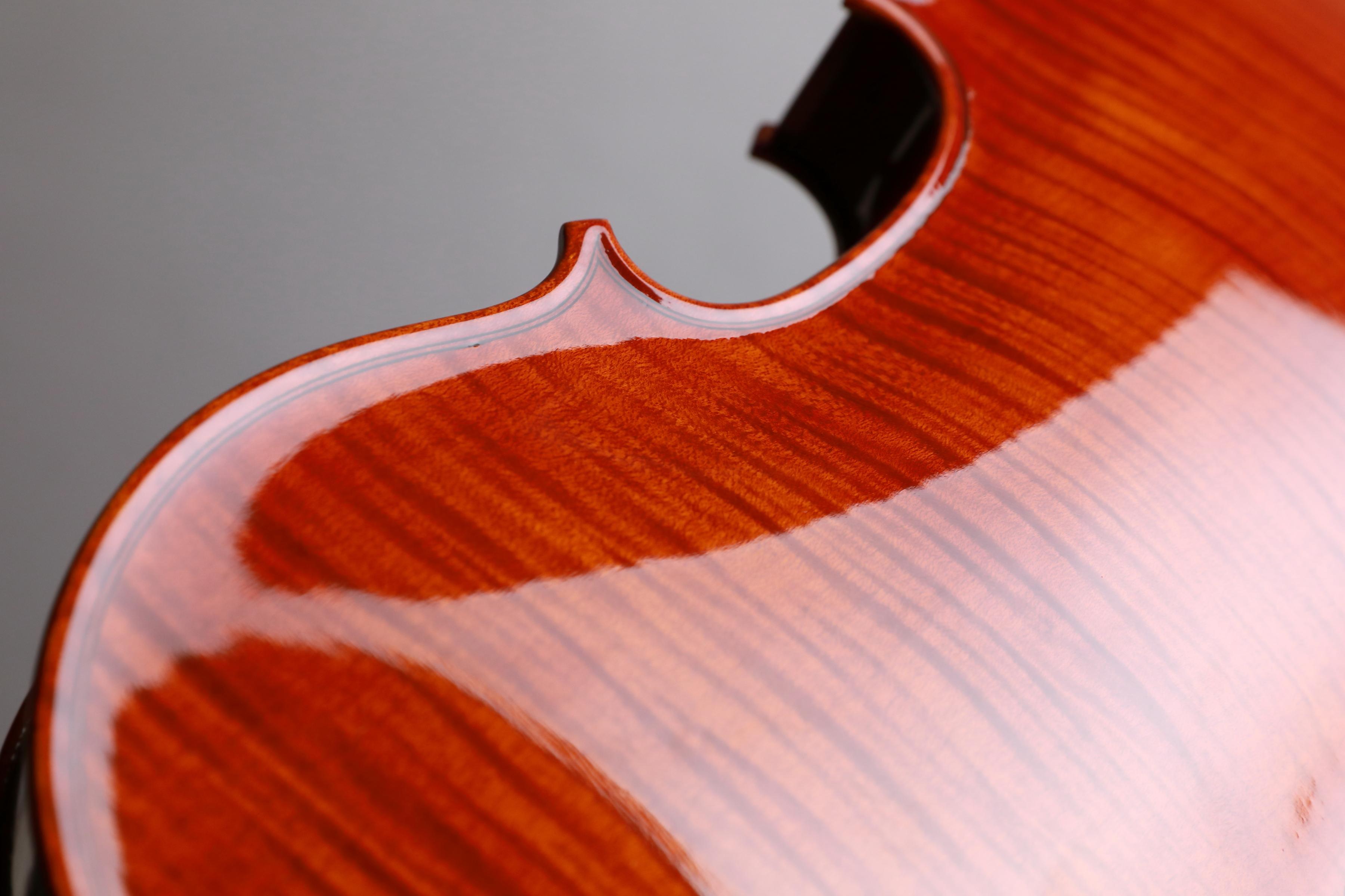 Danilo Fiorentini Violin 2024 Crema | La Stellina Strings