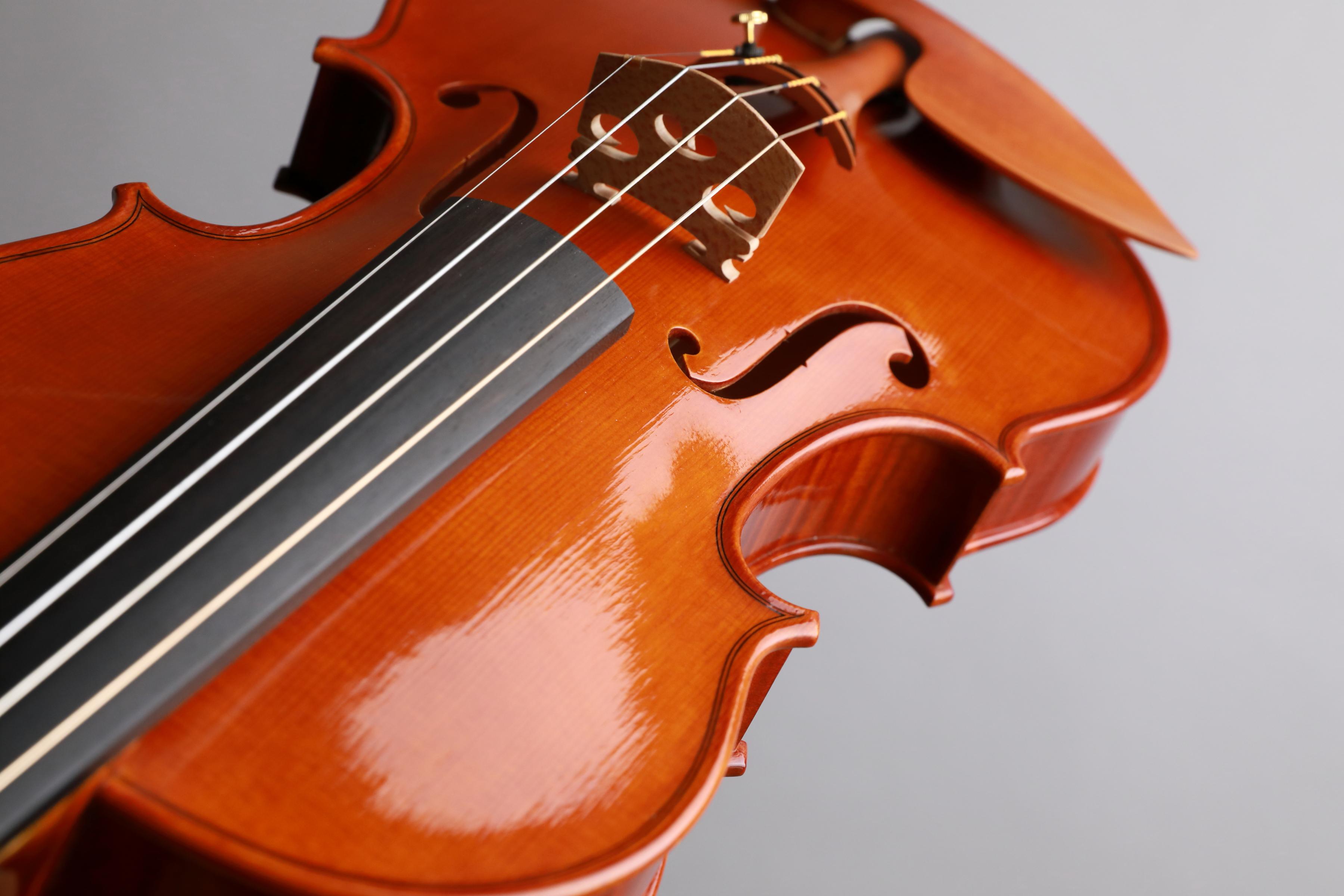 Danilo Fiorentini Violin 2024 Crema | La Stellina Strings