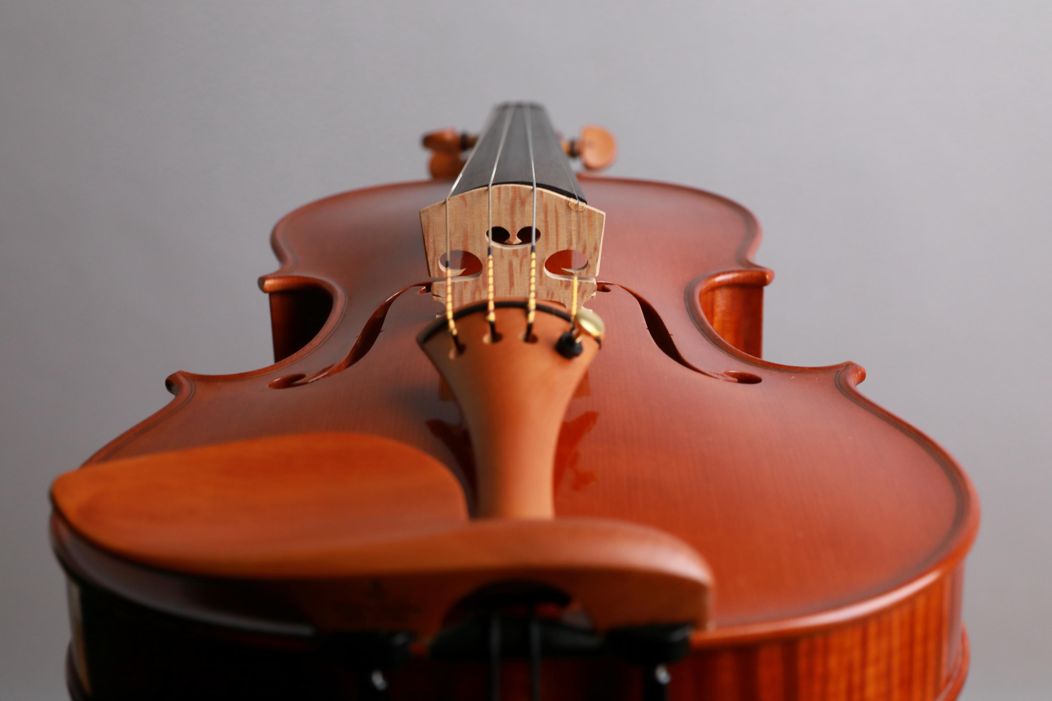 Danilo Fiorentini Violin 2024 Crema | La Stellina Strings