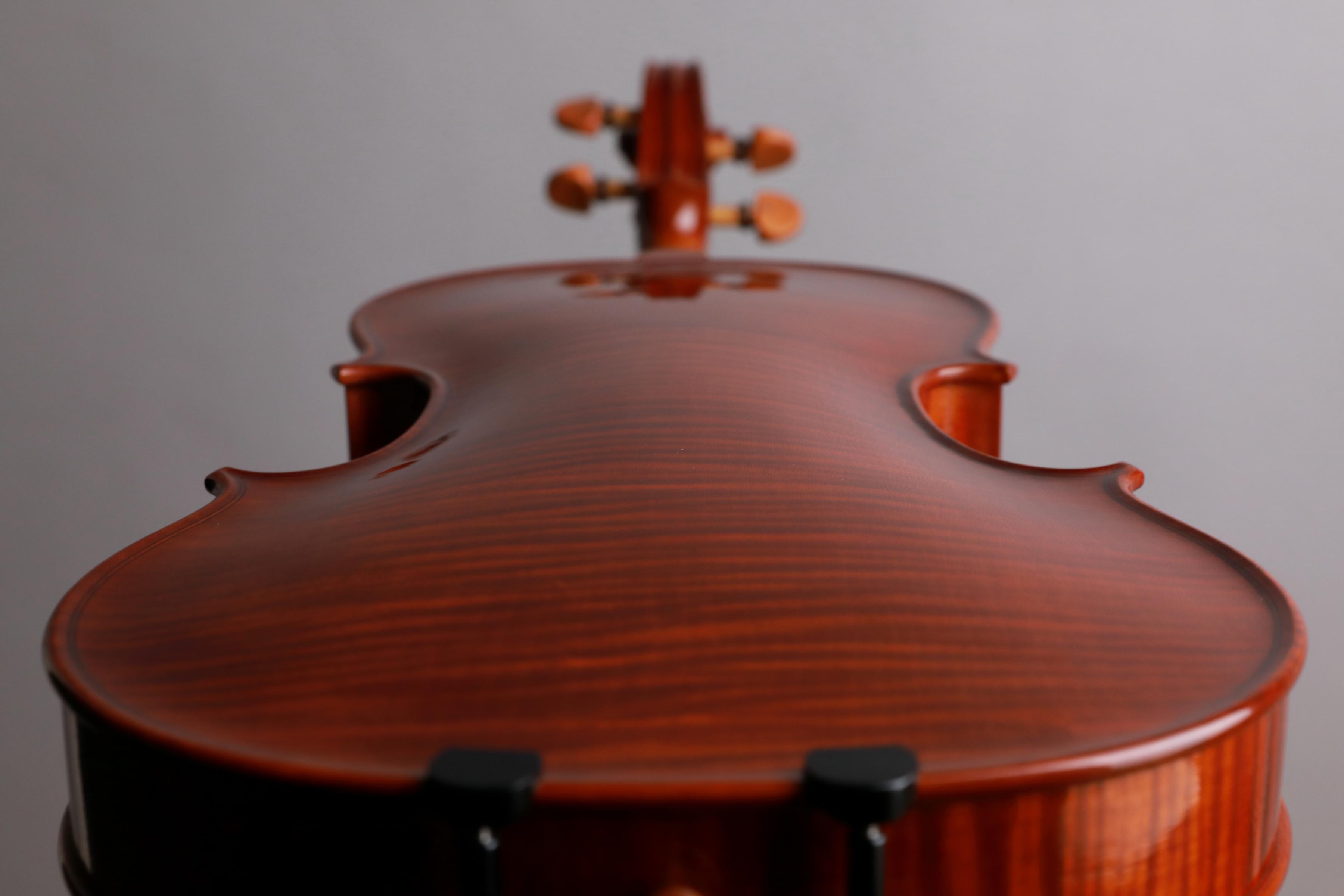 Danilo Fiorentini Violin 2024 Crema | La Stellina Strings