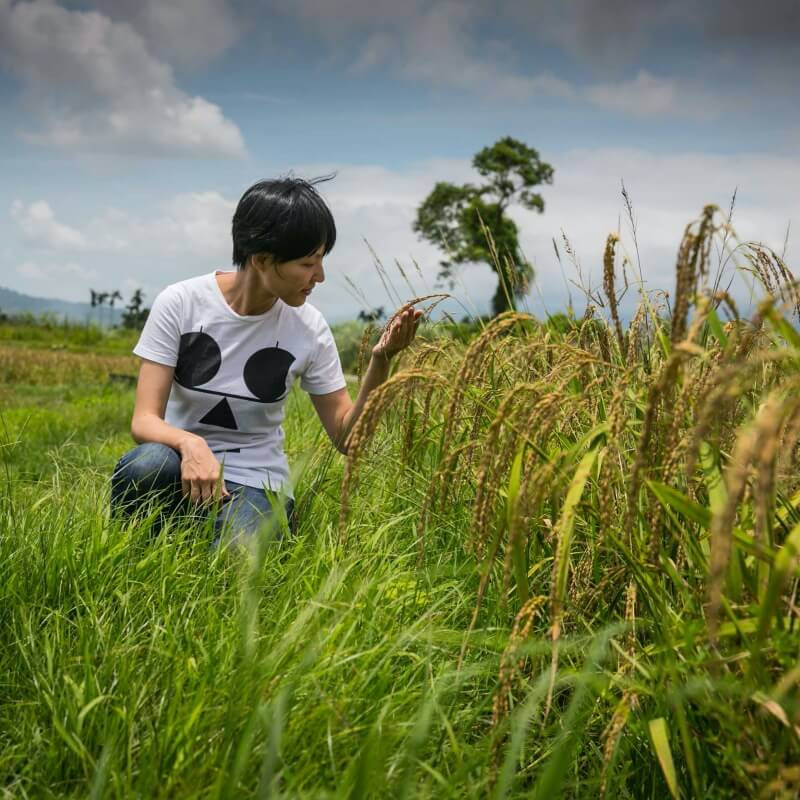 顧瑋與台灣米
