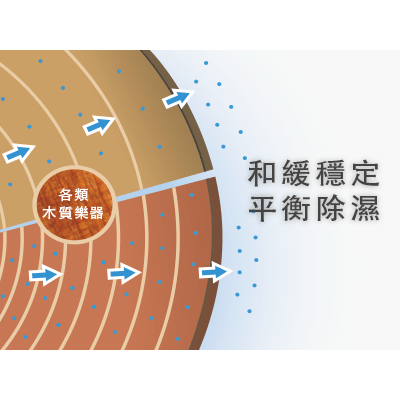 ART-126 中小提琴專用防潮箱，通過實踐大學音樂系實測，最適合保存中小提琴免受潮害。