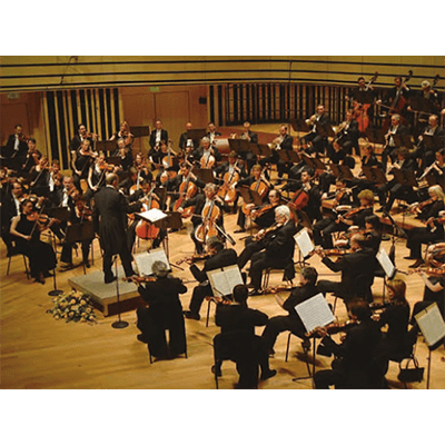 ART-126 中小提琴專用防潮箱，通過實踐大學音樂系實測，最適合保存中小提琴免受潮害。