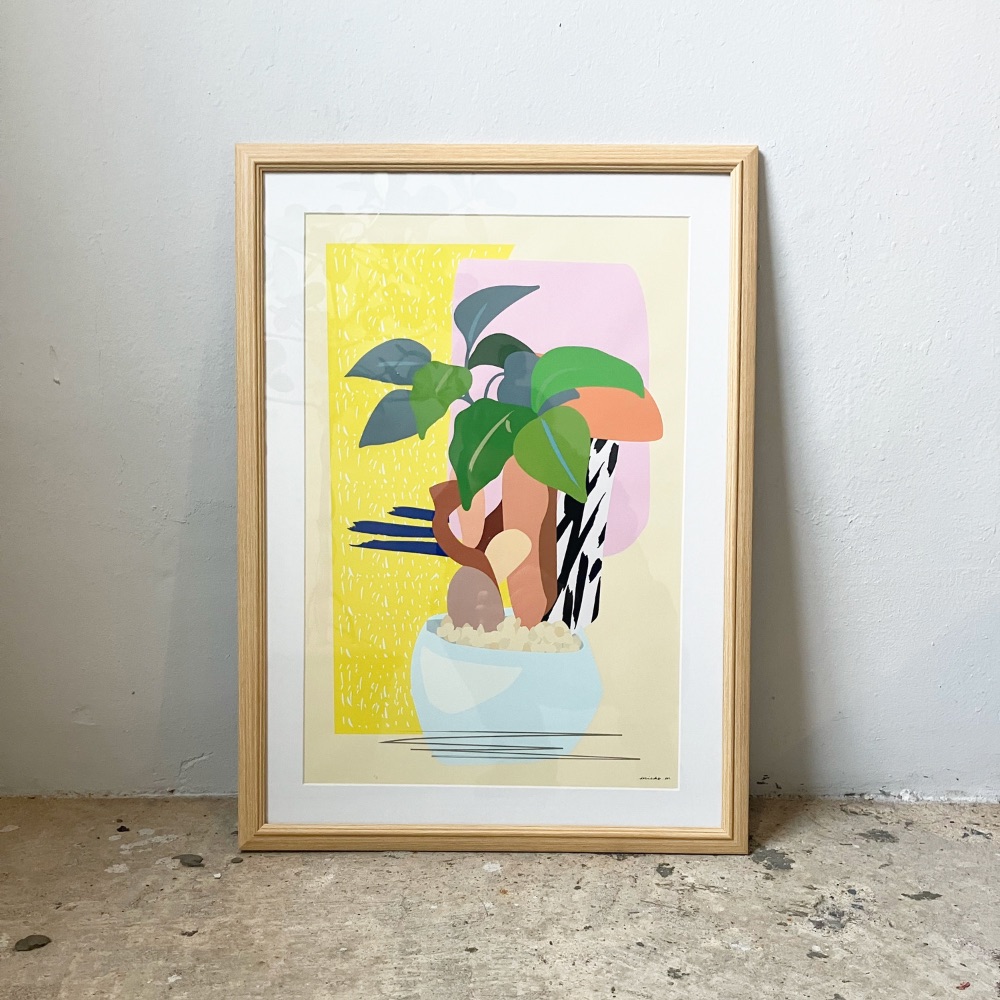 ガジュマル | See Em Why K シーエムワイケー