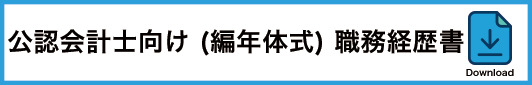 13_公認会計士向け職務経歴書(編年体式)