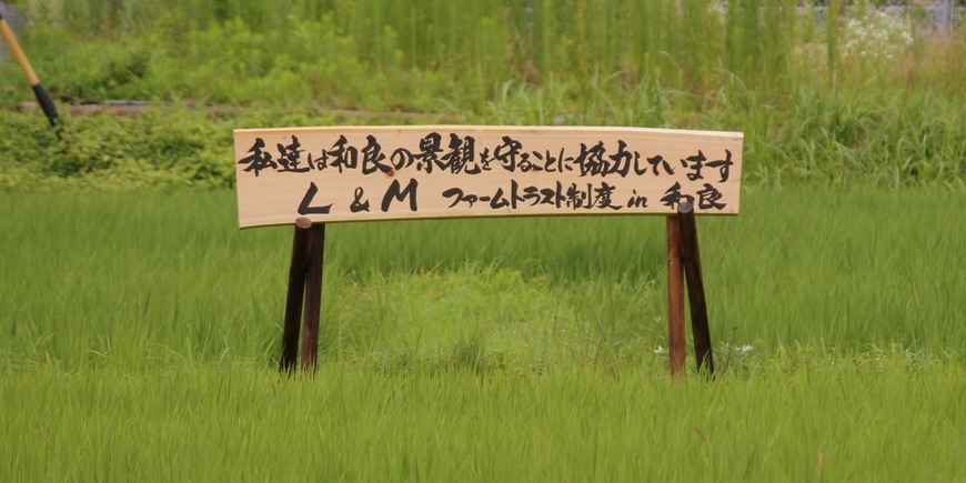 Display
