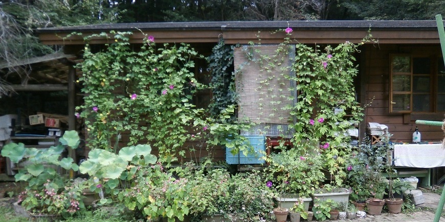Display