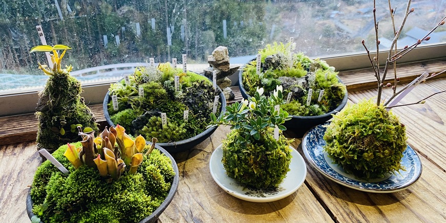 Display