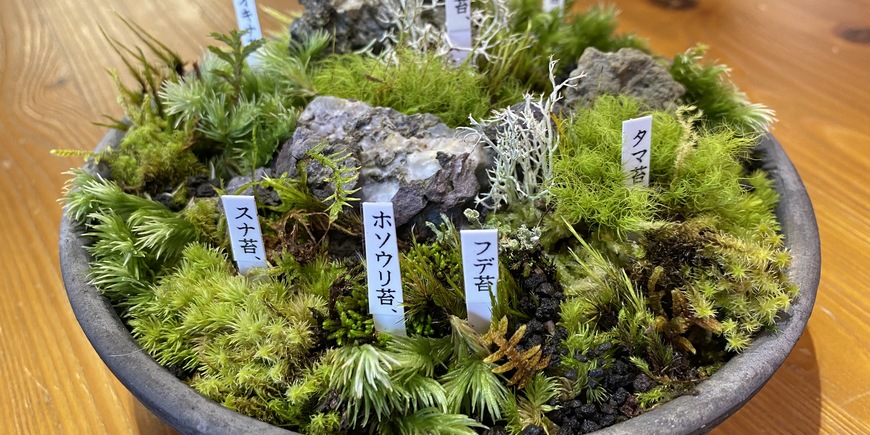 Display