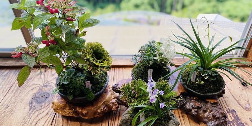 Display