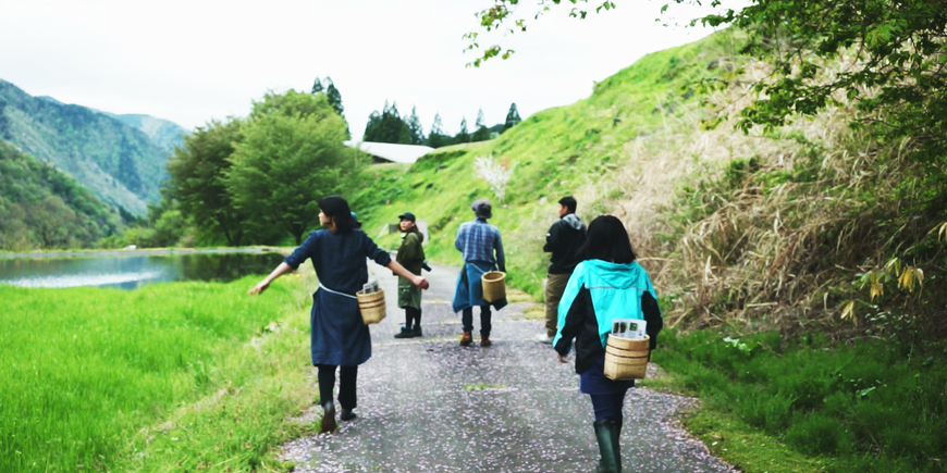 新緑の里と源流の森をめぐる、野草山菜の旅(主催 / another home gujo)のイメージ