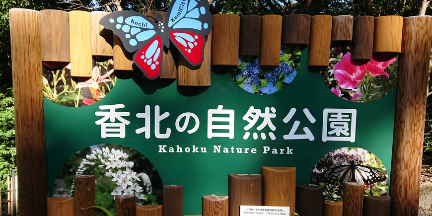 Display