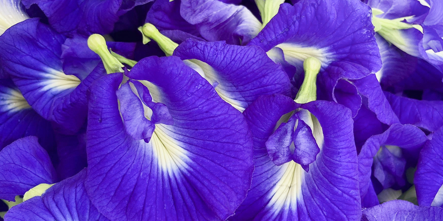 Display
