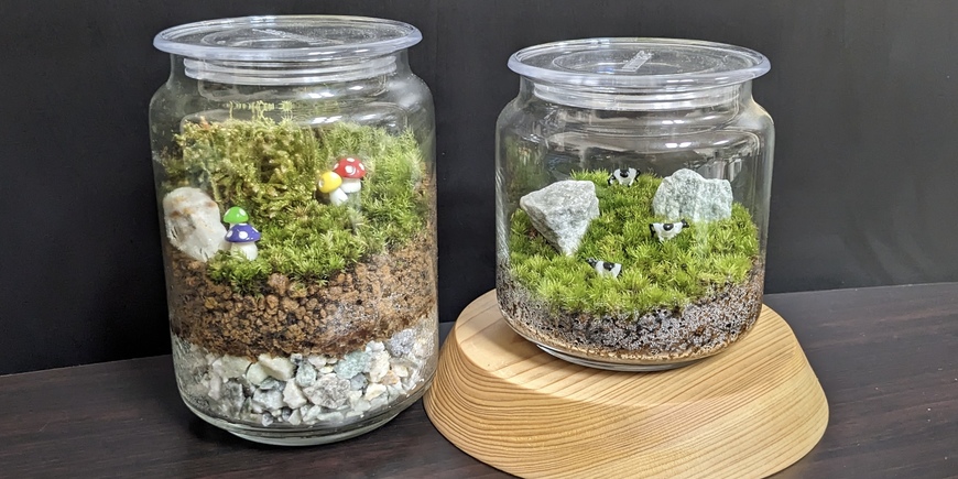 Display
