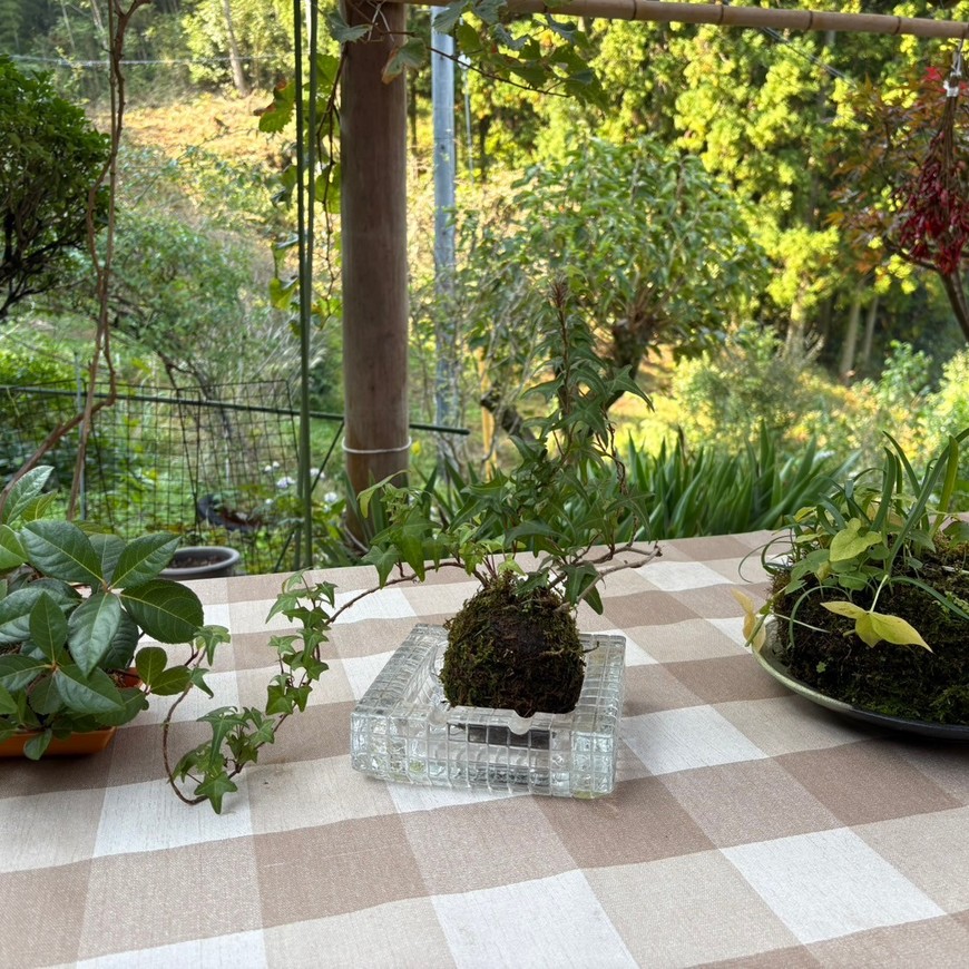 Display