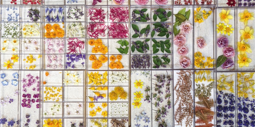 Display