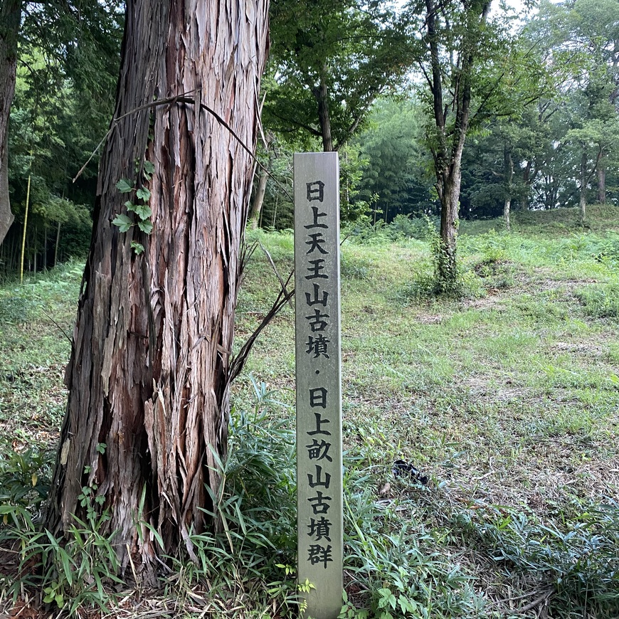 Display