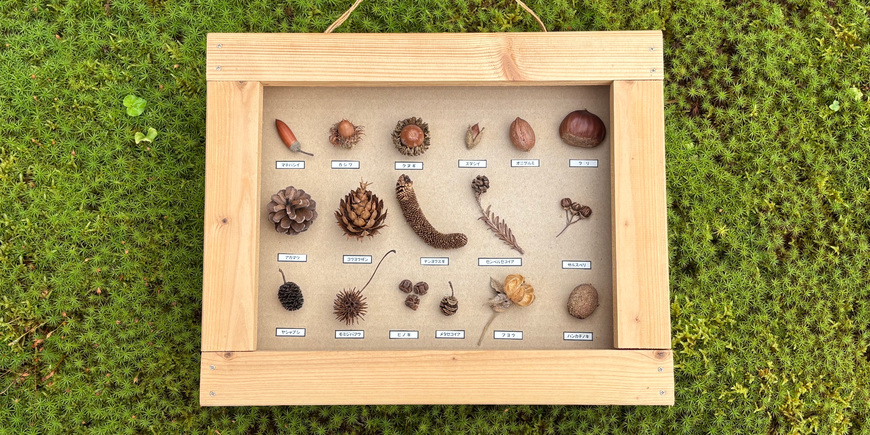 Display