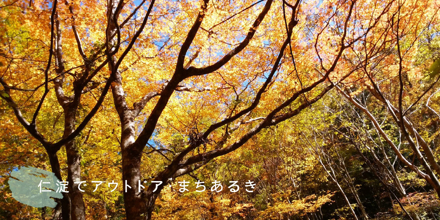 Original