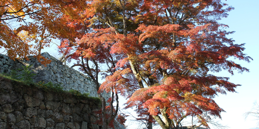 Display