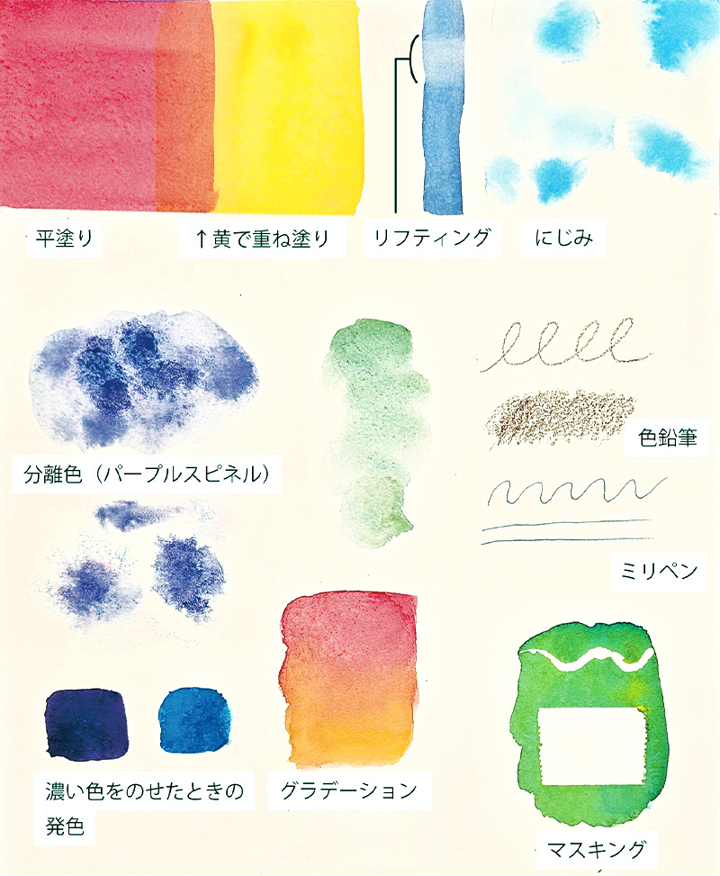 細目 塗見本作成：枯葉庭園