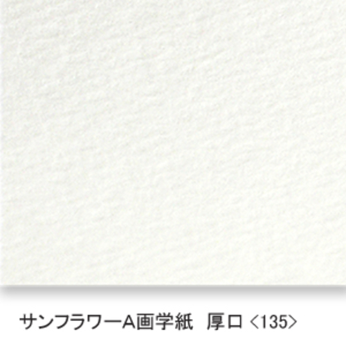 サンフラワーA画学紙(厚口・135K)B本判:5枚