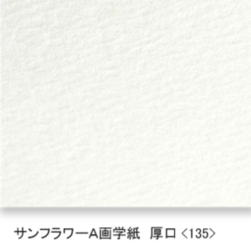 サンフラワーA画学紙(厚口・135K)B本判半切:10枚