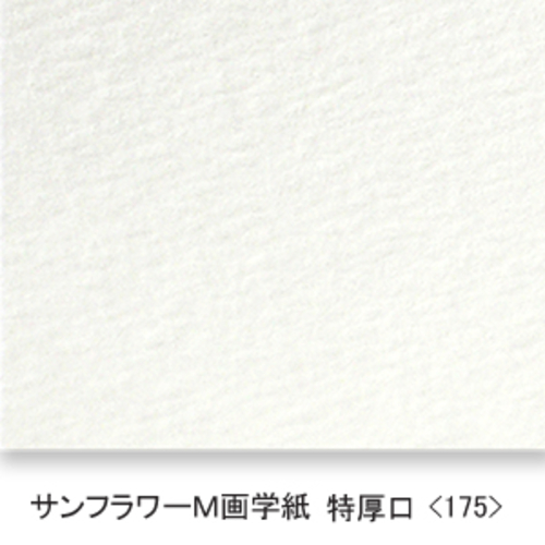 サンフラワーM画学紙(特厚口・175K)B本判:5枚