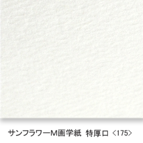 サンフラワーM画学紙(特厚口・175K)B本判半切:10枚