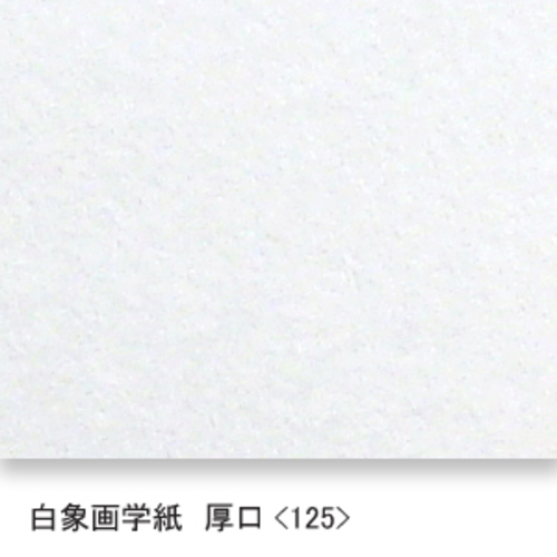 白象画学紙(厚口・125K)B本判:5枚