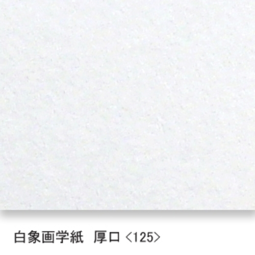 白象画学紙(厚口・125K)B本判半切:10枚