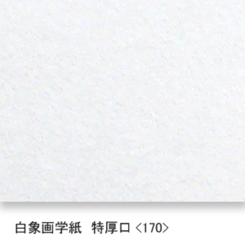 白象画学紙(特厚口・170K)B本判:5枚