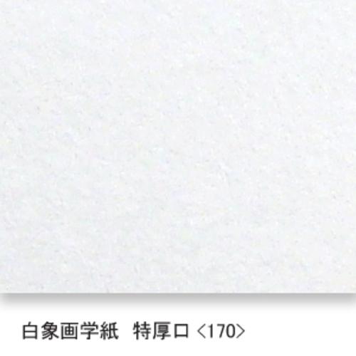 白象画学紙(特厚口・170K)B本判半切:10枚